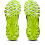 Asics Gel Kayano 1011B440.404