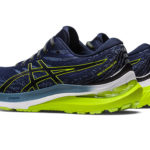 Asics Gel Kayano 1011B440.404