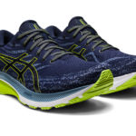 Asics Gel Kayano 1011B440.404