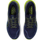 Asics Gel Kayano 1011B440.404