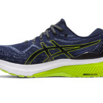 Asics Gel Kayano 1011B440.404