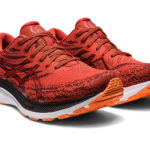 Asics Gel Kayano 1011B440.600