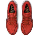 Asics Gel Kayano 1011B440.600
