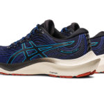 Asics Gel Kayano 1011B463.401