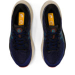 Asics Gel Kayano 1011B463.401