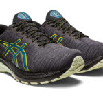 Asics GT 2000 1011B477.002