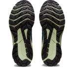 Asics GT 1011B573.750