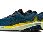 Asics GT 1011B573.750