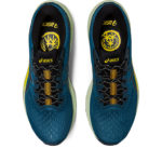 Asics GT 1011B573.750