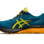 Asics GT 2000 1011B574.750