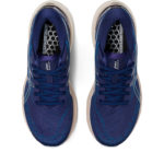 Asics Gel Kayano 1012B272.403