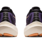 Asics Gel Kayano 1012B293.500