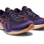 Asics Gel Kayano 1012B293.500