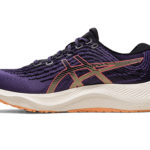 Asics Gel Kayano 1012B293.500