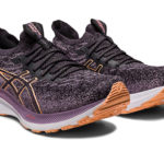 Asics Gel Kayano 1012B300.500