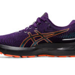 Asics Gel Cumulus 1012B311.500