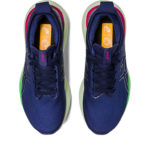 Asics Gel Nimbus 25 1012B356.400