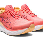 Asics Gel Nimbus 25 1012B356.700