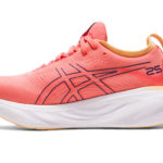 Asics Gel Nimbus 25 1012B356.700