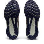 Asics GT 1012B388.700