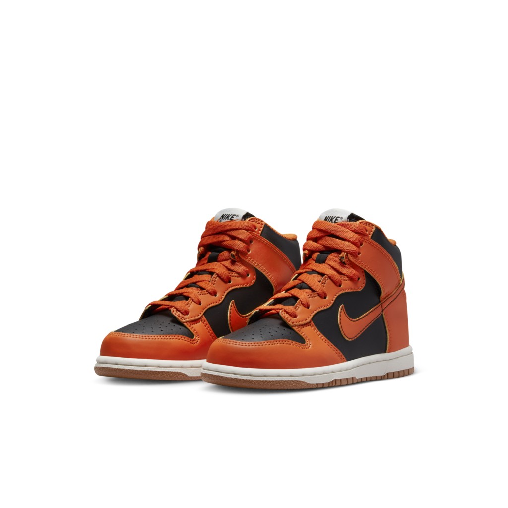 Nike Dunk High DD2314-004