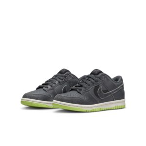 Nike Dunk Low SE Older Kids’ Grey (DQ6215-001)