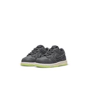 Nike Dunk Low SE Baby & Toddler Grey (DQ6217-001)