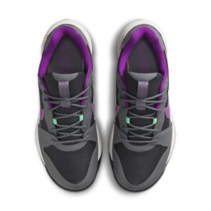 Nike ACG Lowcate Grey (DX2256-002)