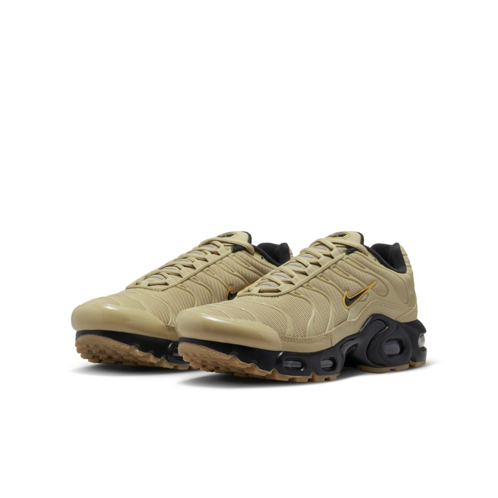 Nike Air Max Plus DZ6308-700