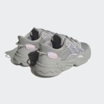 adidas x Raf Simons Ozweego GY4907