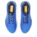 Asics Gel Nimbus 25 1011B547.404