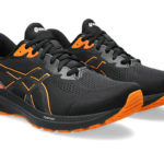 Asics GT 1011B684.001