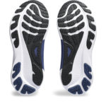 Asics Gel Kayano 1011B764.100