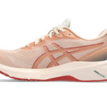 Asics GT 1012B450.700