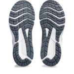 Asics GT 1014A296.700