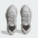 adidas x Raf Simons Ozweego IG7419