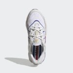 adidas x Raf Simons Ozweego GX9891