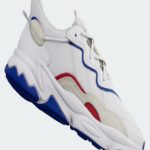 adidas x Raf Simons Ozweego GX9891